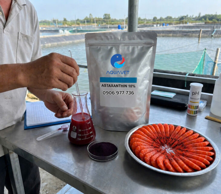 ASTAXANTHIN 10%