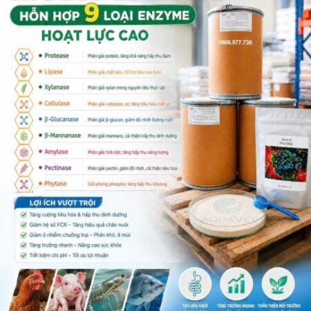 MULTI-ENZYME – NONG TO ĐƯỜNG RUỘT VẬT NUÔI MULTI-ENZYME – NONG TO ĐƯỜNG RUỘT VẬT NUÔI
