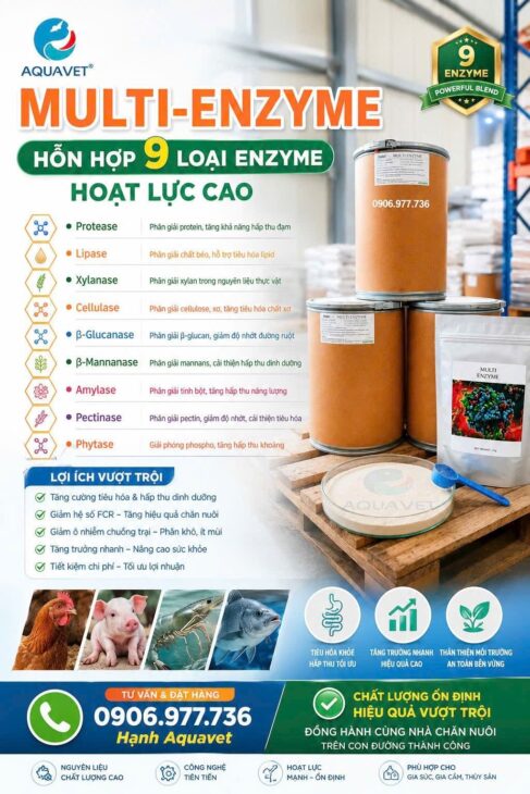 MULTI-ENZYME – NONG TO ĐƯỜNG RUỘT VẬT NUÔI