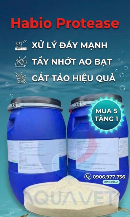 enzyme cắt tảo, xử lý đáy