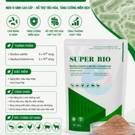 MEN VI SINH SUPER BIO (HỖ TRỢ TIÊU HOÁ VÀ TĂNG CƯỜNG MIỄN DỊCH) MEN VI SINH SUPER BIO (HỖ TRỢ TIÊU HOÁ VÀ TĂNG CƯỜNG MIỄN DỊCH)