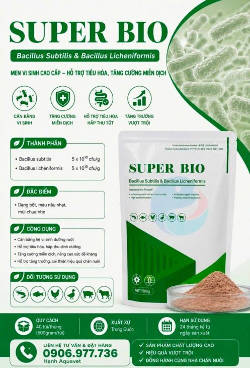 MEN VI SINH SUPER BIO (HỖ TRỢ TIÊU HOÁ VÀ TĂNG CƯỜNG MIỄN DỊCH)