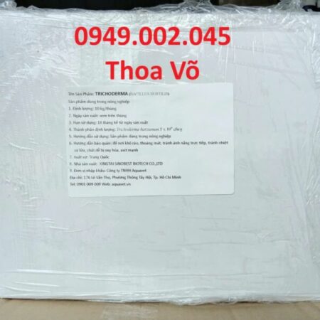 TRICHODERMA – CHẾ PHẨM VI SINH CẢI TẠO ĐẤT, PHÒNG BỆNH THỐI RỄ, KÍCH RỄ MẠNH CHO CÂY TRỒNG TRICHODERMA – CHẾ PHẨM VI SINH CẢI TẠO ĐẤT, PHÒNG BỆNH THỐI RỄ, KÍCH RỄ MẠNH CHO CÂY TRỒNG