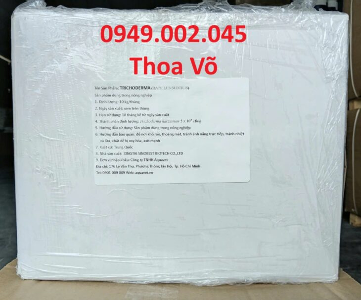 TRICHODERMA – CHẾ PHẨM VI SINH CẢI TẠO ĐẤT, PHÒNG BỆNH THỐI RỄ, KÍCH RỄ MẠNH CHO CÂY TRỒNG
