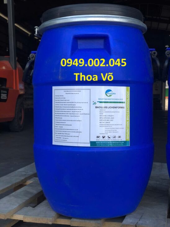 Bacillus Licheniformis – Xử lý đáy ao, cặn dầu mỡ, giảm khí độc NH3, H2S hiệu quả