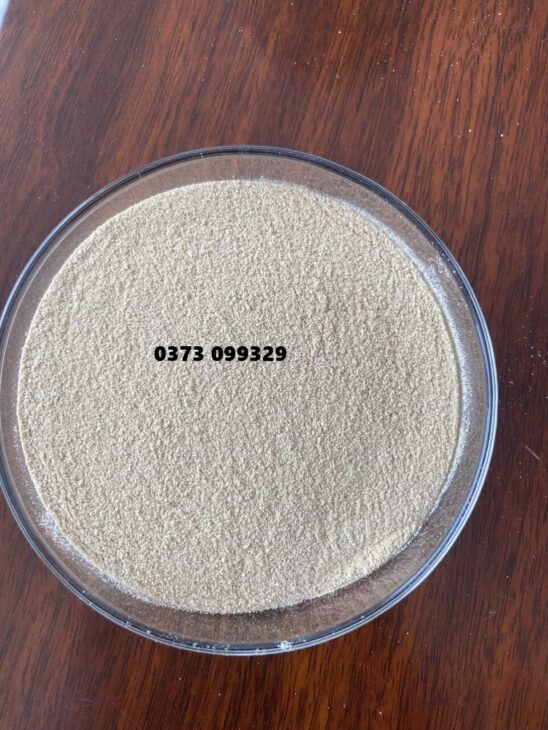 BETA GLUCAN – HỖ TRỢ SỨC KHỎE VẬT NUÔI