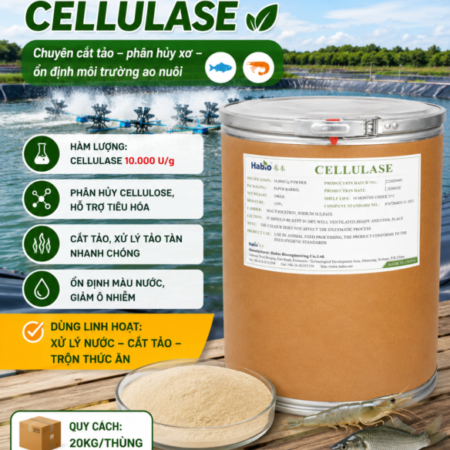ENZYME CELLULASE 10.000 U/G – Phân Hủy Xơ, Hỗ Trợ Xử Lý Tảo & Tiêu Hóa Tôm Cá