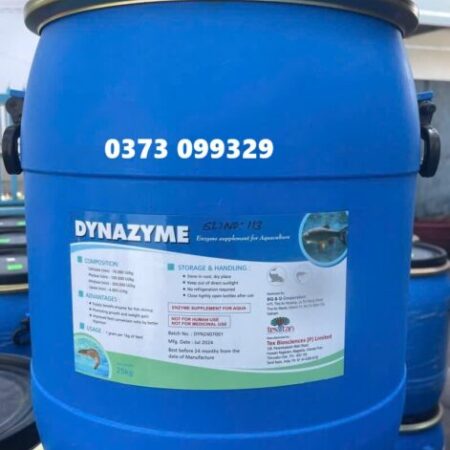 DYNazyme – Đa Enzyme giúp tôm, cá hấp thu dinh dưỡng hiệu quả DYNazyme – Đa Enzyme giúp tôm, cá hấp thu dinh dưỡng hiệu quả