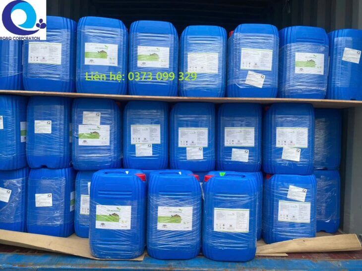 OR-IMMUNO – GIẢI PHÁP HỖ TRỢ SỨC KHỎE TÔM