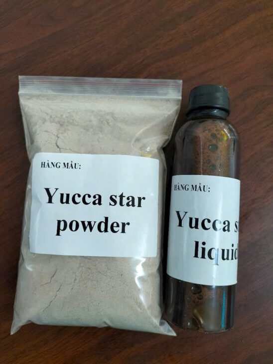 YUCCA STAR POWDER – GIẢI PHÁP BỔ SUNG YUCCA TỰ NHIÊN CHO MÔI TRƯỜNG NUÔI