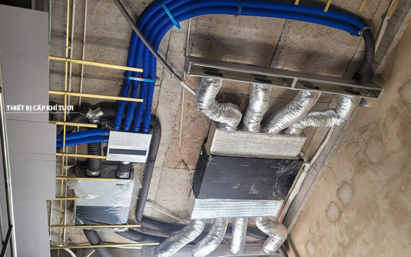 LẮP ĐẶT THIẾT BỊ THÔNG GIÓ THU HỒI NHIỆT DAIKIN﻿