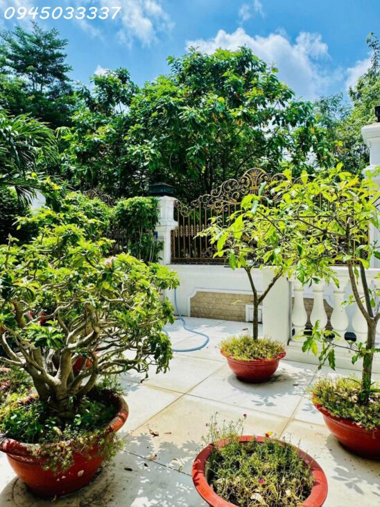Biệt Thự Đơn Lập Cityland Quận 7 View Sông, Dt 370M² (25x15M), Hầm + 4 Tầng, Giá 88 Tỷ