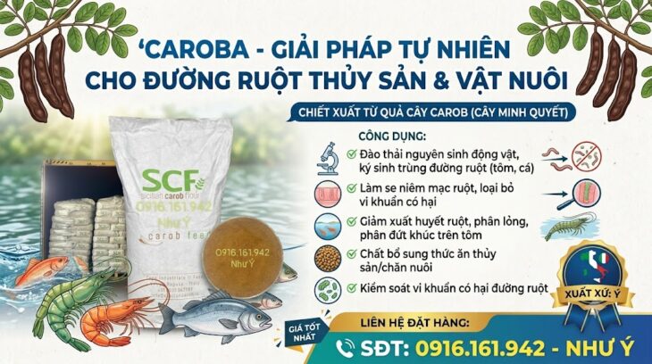 Thảo dược cây CAROBA – CAROB FEED sổ kí sinh trùng cho tôm cá, an toàn hiệu quả Thảo dược cây CAROBA – CAROB FEED sổ kí sinh trùng cho tôm cá, an toàn hiệu quả